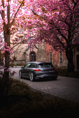 Camber - ToHell 14.06.2025 / Fahrzeugticket / Bewerbungs-ID 9a7938a4-7191-4d48-b52e-f4eebf04f0e9