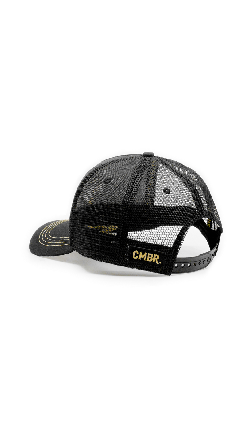Life Begins Trucker Cap